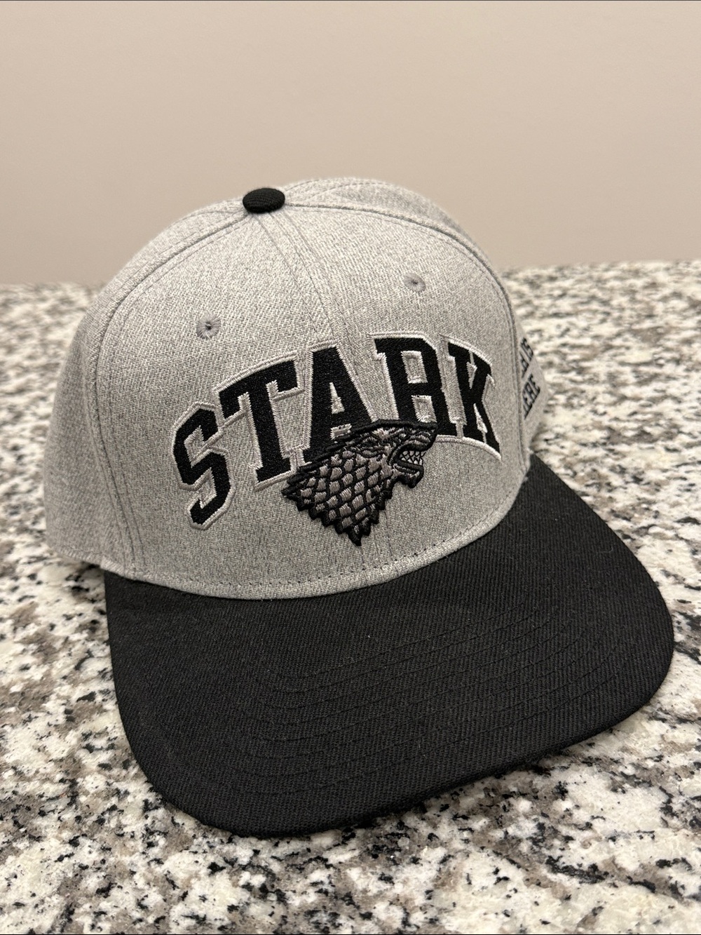 Game of Thrones Stark Collegiate SnapBack Hat 🐺